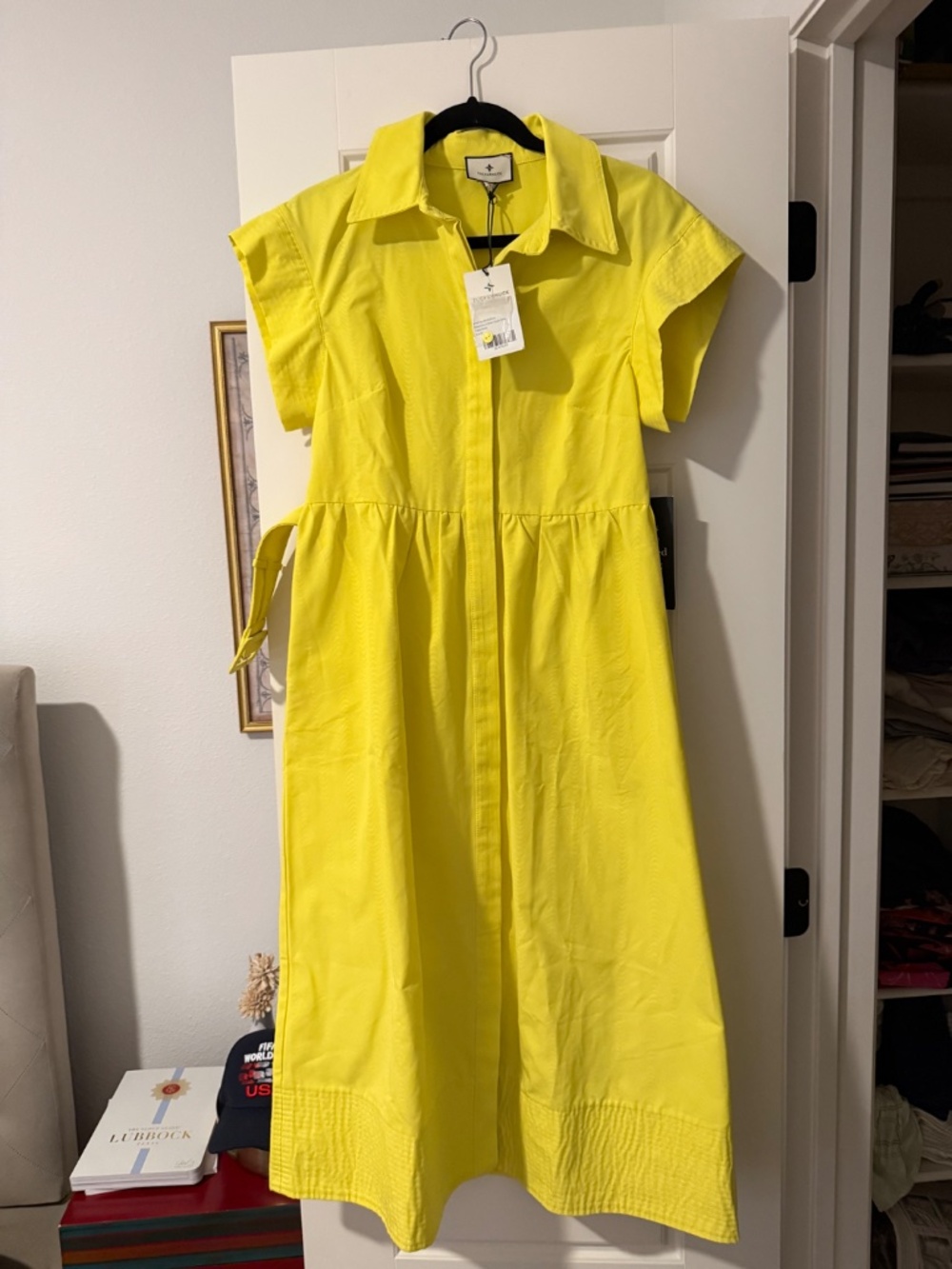 Tuckernuck Chloe dress